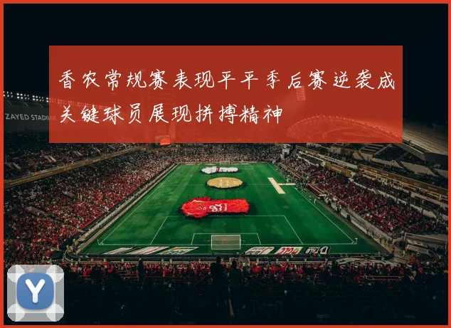 香农常规赛表现平平季后赛逆袭成关键球员展现拼搏精神