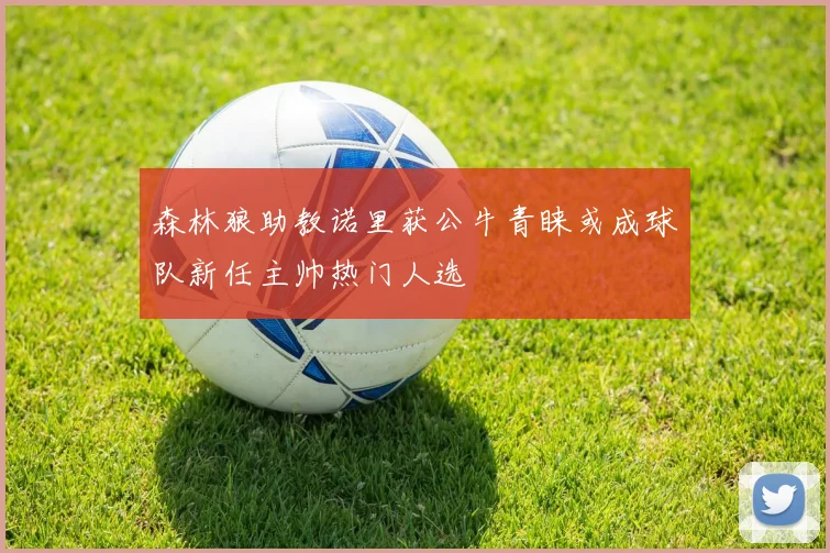 森林狼助教诺里获公牛青睐或成球队新任主帅热门人选